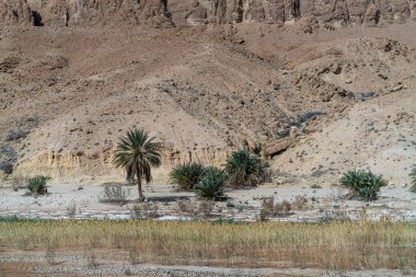 Sejla Gorges 'un bazı görüşleri - Batı Tunus - Gafsa Valiliği - Tunus