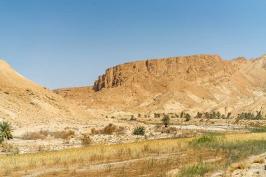 Sejla Gorges 'un bazı görüşleri - Batı Tunus - Gafsa Valiliği - Tunus
