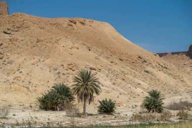Sejla Gorges 'un bazı görüşleri - Batı Tunus - Gafsa Valiliği - Tunus