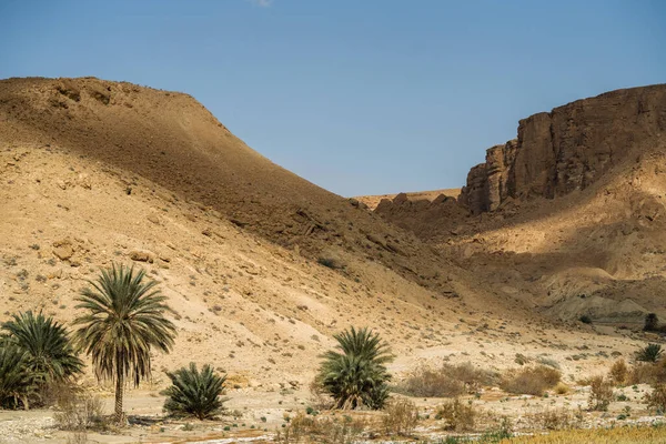 Some Views Sejla Gorges Western Tunisia Gafsa Governorate Tunisia — Stockfoto