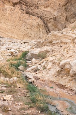 Sejla Gorges 'un bazı görüşleri - Batı Tunus - Gafsa Valiliği - Tunus