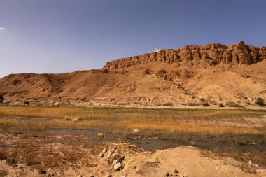 Sejla Gorges 'un bazı görüşleri - Batı Tunus - Gafsa Valiliği - Tunus