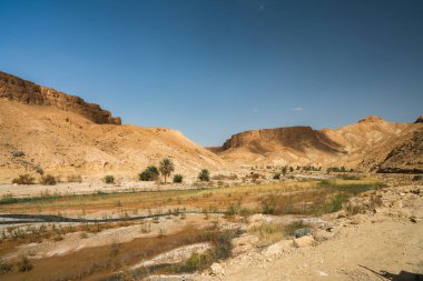 Sejla Gorges 'un bazı görüşleri - Batı Tunus - Gafsa Valiliği - Tunus