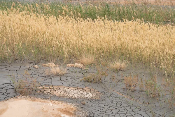 Sejla Gorges 'un bazı görüşleri - Batı Tunus - Gafsa Valiliği - Tunus
