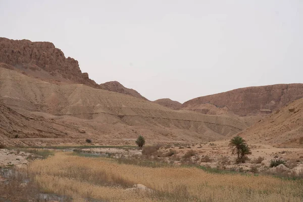 Some Views Sejla Gorges Western Tunisia Gafsa Governorate Tunisia — Stock Photo, Image