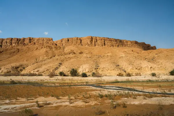 Sejla Gorges 'un bazı görüşleri - Batı Tunus - Gafsa Valiliği - Tunus