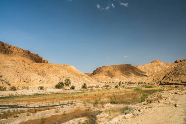 Some Views Sejla Gorges Western Tunisia Gafsa Governorate Tunisia — ストック写真