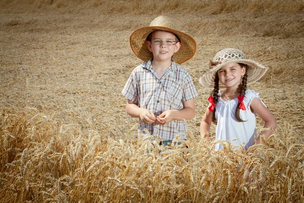Little children in wheat — Stock Photo, Image