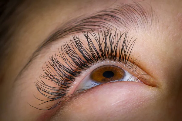 Ögonfrans Förlängning Förfarande Kvinnan Ögon Med Långa Ögonfransar — Stockfoto