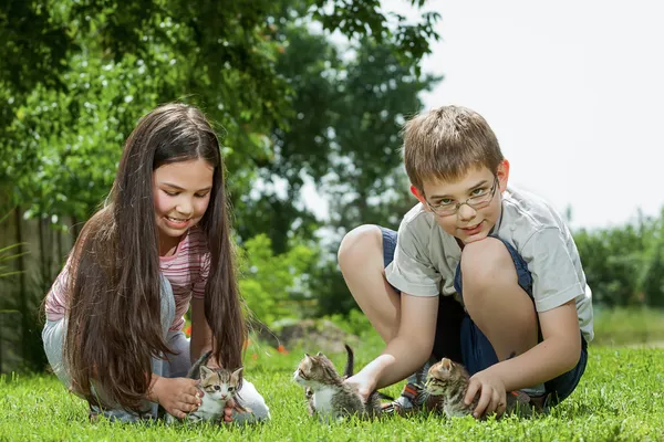 Happy children with a little cat — Stock Photo, Image