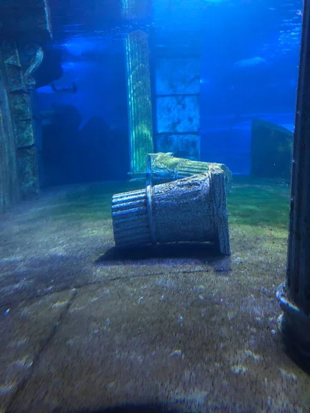Sunken Ancient City Aquarium — Foto de Stock