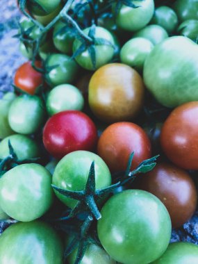 Taze kiraz domatesleri, çiğ yiyecekler ve sebze konsepti. kırmızı ve yeşil kiraz domatesleri.