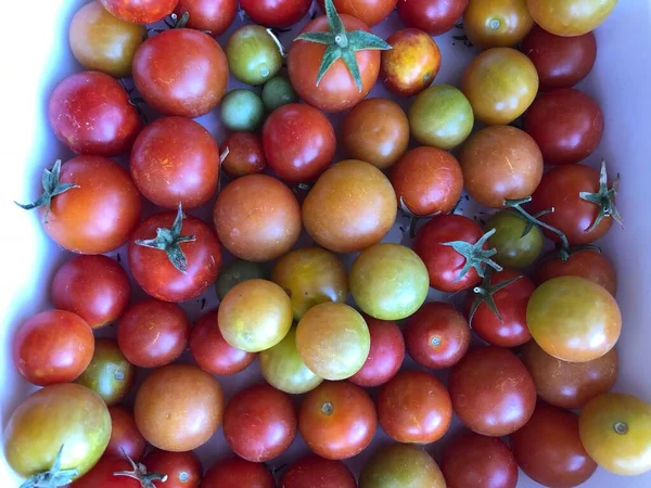 Friss Színes Cseresznye Paradicsom Nyers Étel Zöldség Koncepció Piros Zöld — Stock Fotó