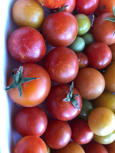 Frische Bunte Kirschtomaten Rohkost Und Gemüsekonzept Rote Und Grüne Kirschtomaten — Stockfoto