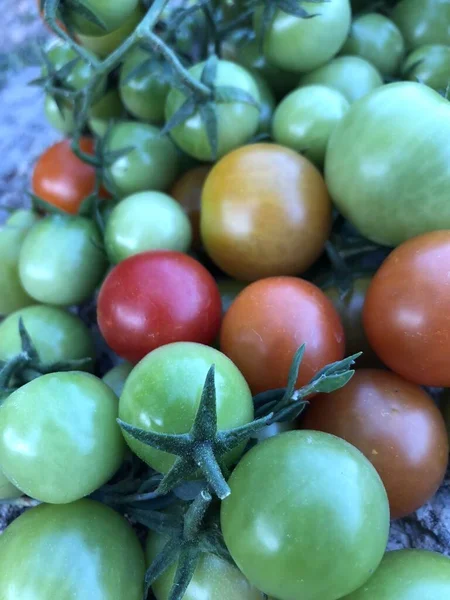 Fresh Colorful Cherry Tomatoes Raw Food Vegetable Concept Red Green — Φωτογραφία Αρχείου