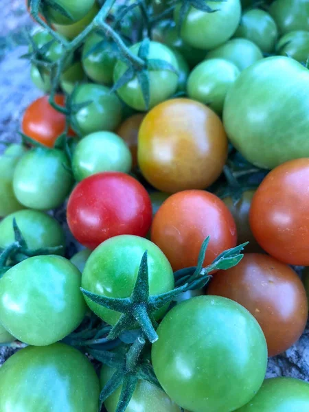 Fresh Colorful Cherry Tomatoes Raw Food Vegetable Concept Red Green — 스톡 사진