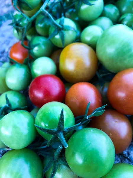 Fresh colorful cherry tomatoes , raw food and vegetable concept. red and green cherry tomatoes.
