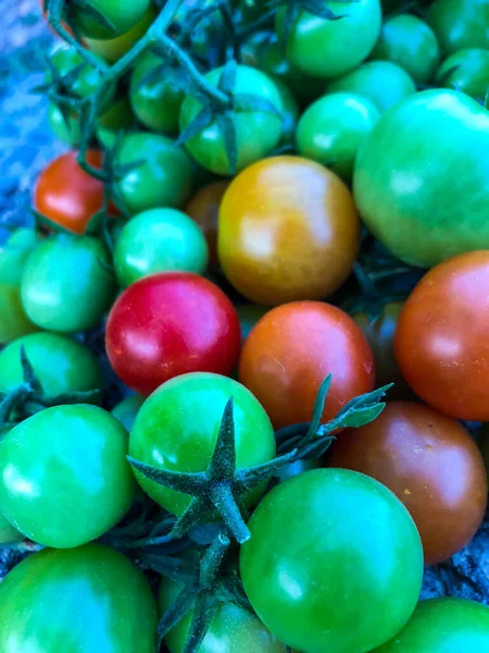 Fresh Colorful Cherry Tomatoes Raw Food Vegetable Concept Red Green — 图库照片