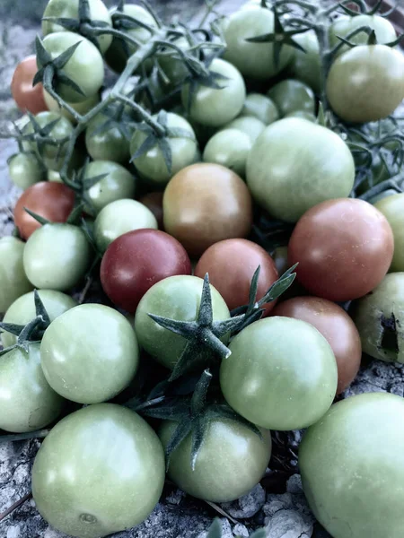 Fresh Colorful Cherry Tomatoes Raw Food Vegetable Concept Red Green — стоковое фото