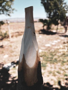 Doğada el yapımı ahşap mızrak.