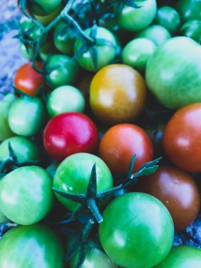Taze kiraz domatesleri, çiğ yiyecekler ve sebze konsepti. kırmızı ve yeşil kiraz domatesleri.