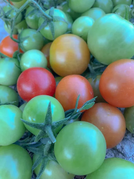 Taze Kiraz Domatesleri Çiğ Yiyecekler Sebze Konsepti Kırmızı Yeşil Kiraz — Stok fotoğraf