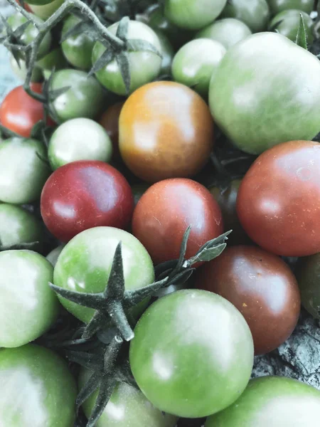 Fresh Colorful Cherry Tomatoes Raw Food Vegetable Concept Red Green — Zdjęcie stockowe