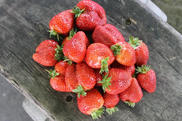 Erdbeeren lizenzfreie Stockfotos