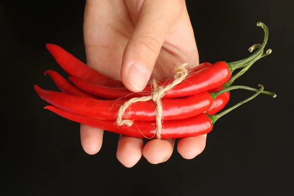 Rote Chilischote Stockbild