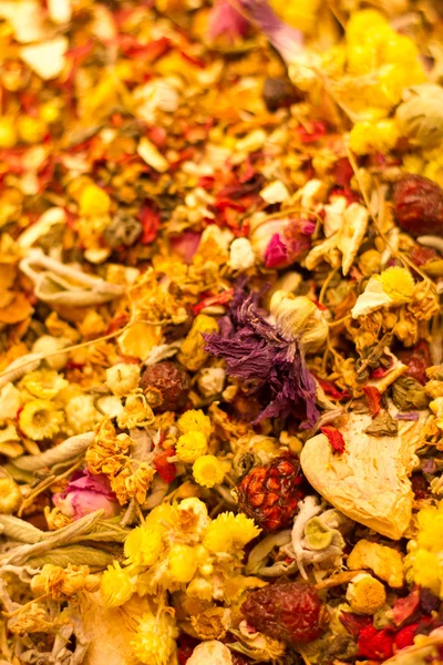 Dried Flowers — Stock Photo, Image