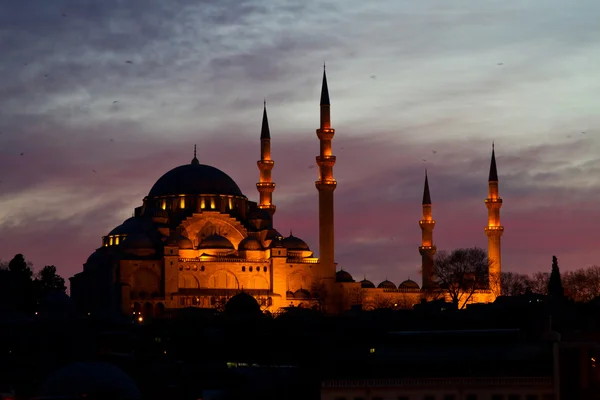 Suleymaniye mosque, istanbul, Turecko — Stock fotografie