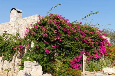 evde eski Datça, Muğla, Türkiye