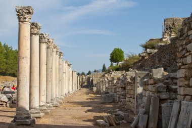 Efes, Türkiye