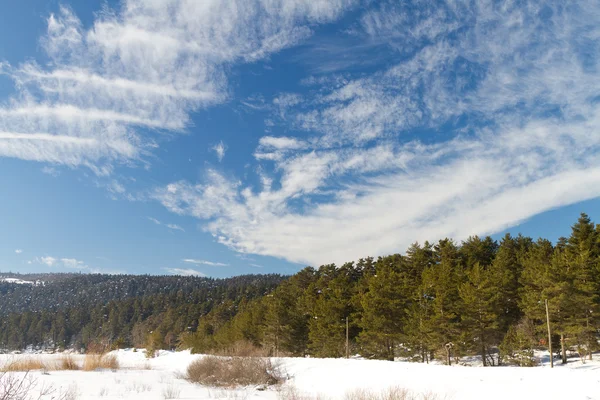 Abant sjö, bolu, Turkiet — Stockfoto