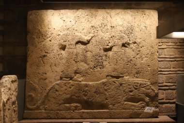 Anadolu Medeniyetler Müzesi, Ankara City, Türkiye