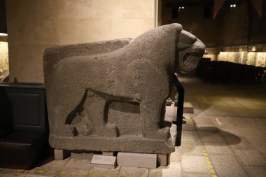 Anadolu Medeniyetler Müzesi 'ndeki Aslan Heykeli, Ankara Şehri, Türkiye