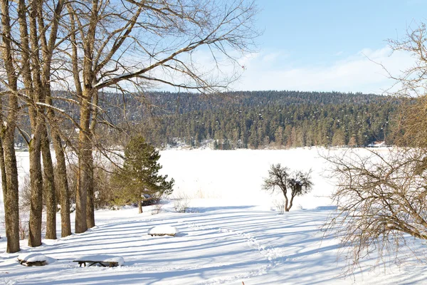 Abant Lake, Bolu, Turquia — Fotografia de Stock