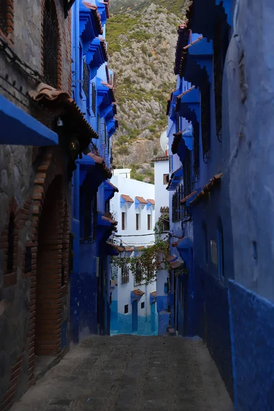 Blue Chefchaouen City, Fas 'ta bir sokak.