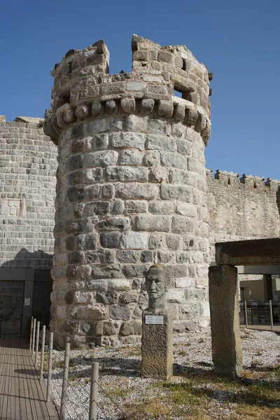 Toren Bodrum Castle Mugla City Turkije — Stockfoto