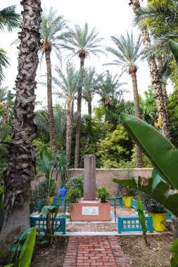 Botanical Majorelle Garden in Marrakech City, Morocco