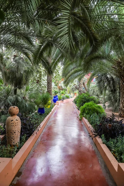 Botanical Majorelle Garden Marrakech City Morocco — стоковое фото