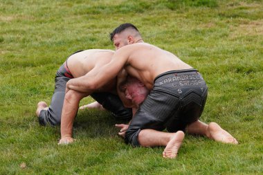 ISTANBUL, TURKIYE - JUNE 11, 2022: Oil wrestlers compete during Etnospor Culture Festival. Oil wrestling also called grease wrestling is the Turkish traditional sport.