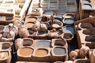 FEZ, MOROCCO - 31 Ekim 2021: İnsanlar Fez City 'de ziyaret etmek için en popüler yerlerden biri olan Chouara Tannery' de deri boyuyorlar