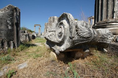 Aphrodisias 'taki Afrodit Tapınağı Geyre, Aydın, Türkiye