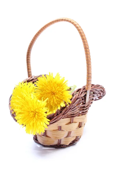 Flores amarelas de dente-de-leão em cesta de vime — Fotografia de Stock