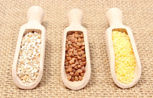 Buckwheat, millet and barley groats on wooden spoon — Stock Photo, Image