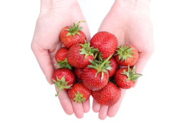 Yardım'ın beyaz zemin üzerine çilek