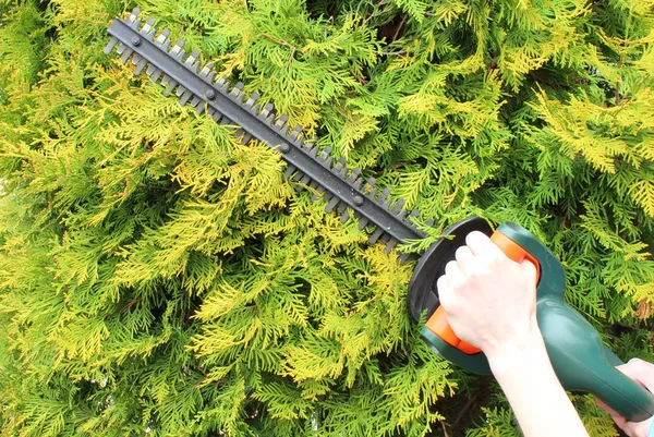 Hands of woman with a gas powered hedge trimmer — Stock Photo, Image