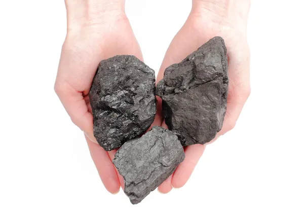 Woman hand holding coal lumps on white background — Stock Photo, Image