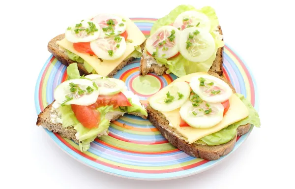 Primer plano de sándwich con queso y verduras — Foto de Stock